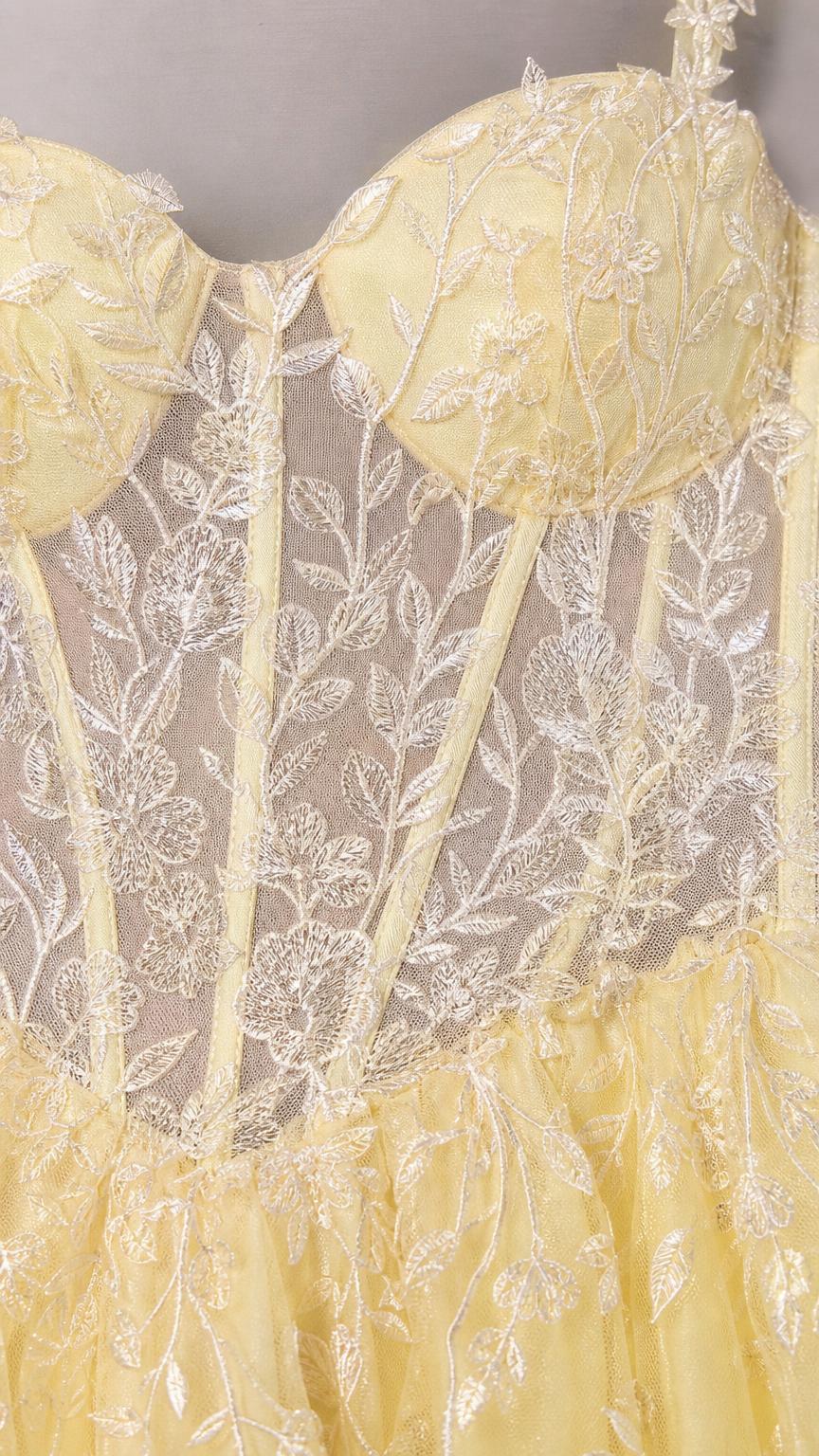 Close-up detail of sheer embroidered corset bodice