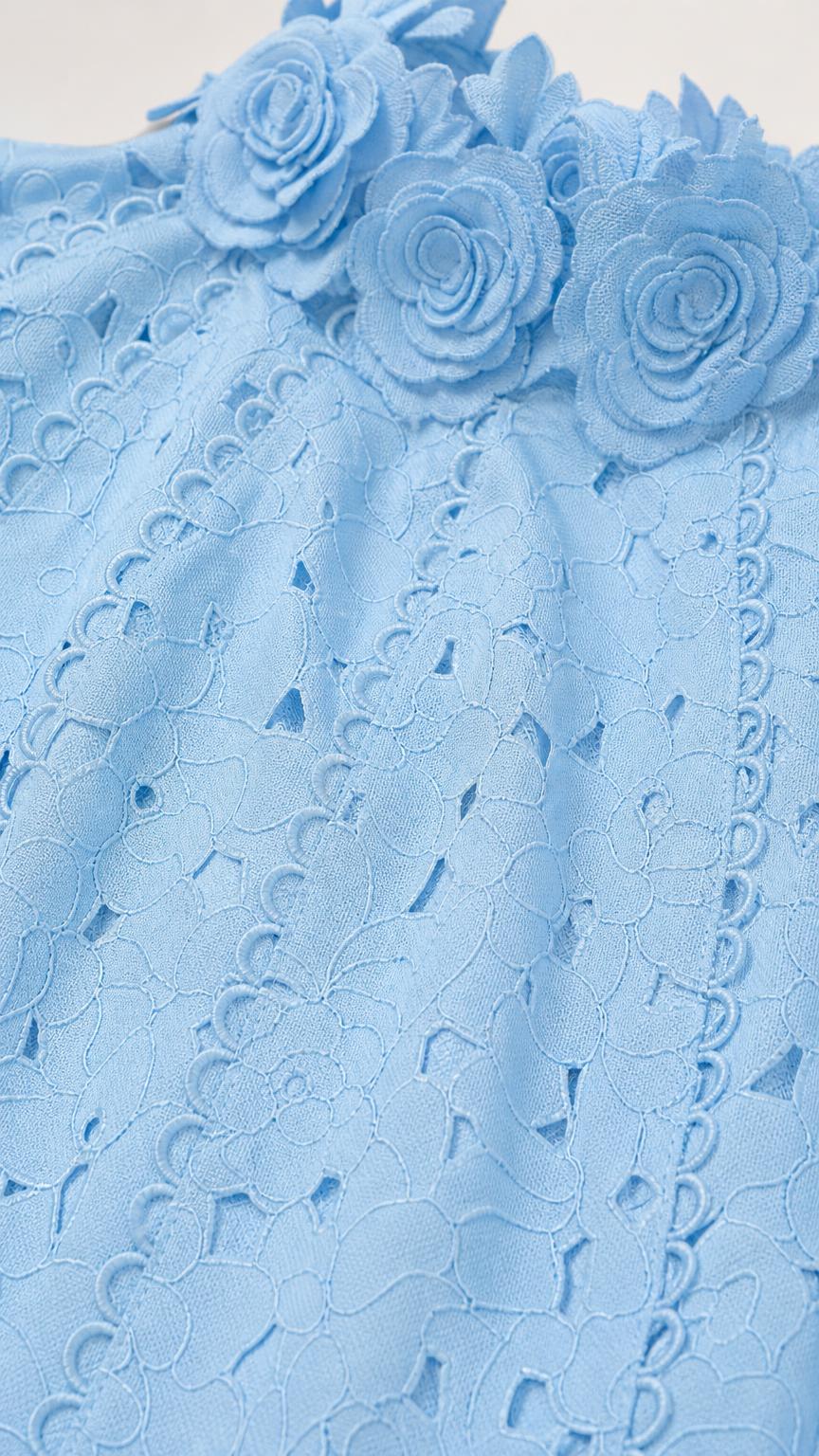 Close up of 3D floral applique on light blue dress