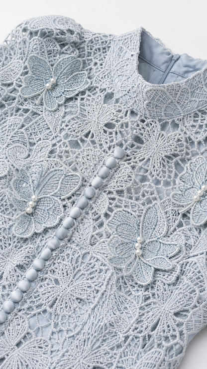 Close-up of lace bodice, high neck, and button details
